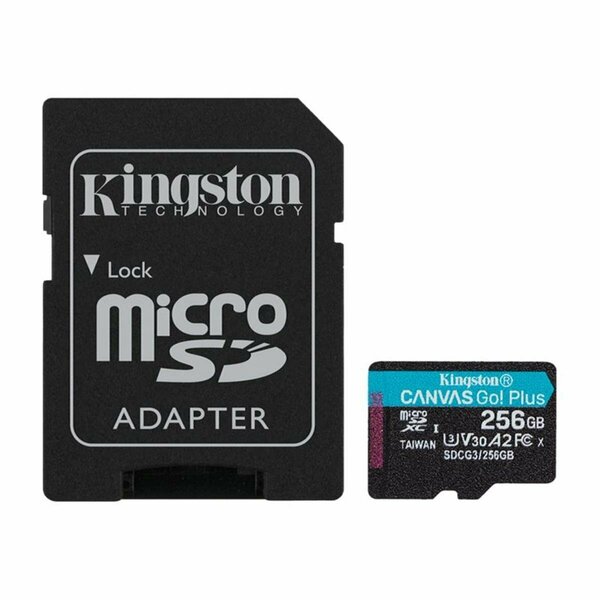 Kingston SDCG3-256GB Canvas Go Plus 256 GB Class 10-UHS-I U3 microSDXC Memory Card KI482577